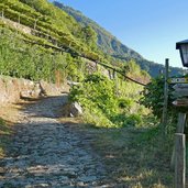 wegweiser mitterplars zum algunder waalweg