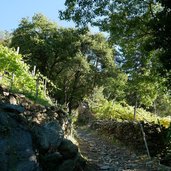 weg von plars nach vellau