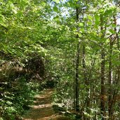 weg von plars nach vellau