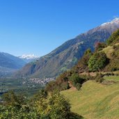 wald und wiesen bei vellau herbst und partschins