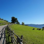 weg und wiesen in vellau