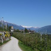 feldweg bei voellan mit mayenburg