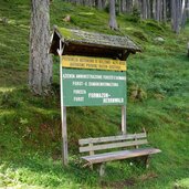 forstweg herrenwald zur farmazon alm