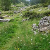 weg nr farmazon formazon tal