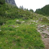 weg nr farmazon formazon tal