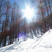 lafetzweg winterwanderweg schnals