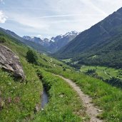 ackerwaal bei matsch matschertal