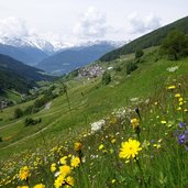 matsch im matschertal