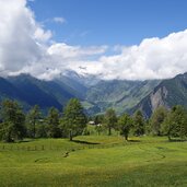 almhuetten auf stuller mahder dahinter pfelderer tal