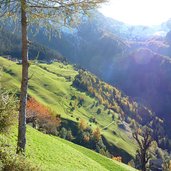 herbstwiesen bei videgg