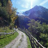 weg nr und bei videgg mit ifinger herbst