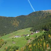 videgg am schennaberg herbst