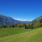 wiesen bei verdins herbst