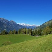 wiesen bei verdins herbst