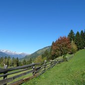 wiesen bei verdins herbst