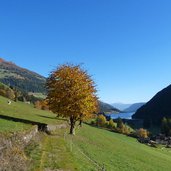 ultner hoefeweg bei kuppelwies und zoggler stausee