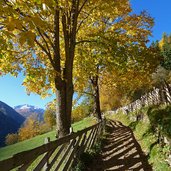 ultner hoefeweg bei kuppelwies herbst