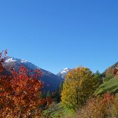 herbst am ultner hoefeweg