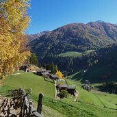 ultner hoefeweg herbst