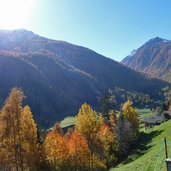 ultner hoefeweg herbst wald