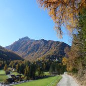 ultner hoefeweg herbst bei st gertraud