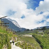 spazierganger am feldweg nach labers