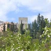 schloss goyen und apfelbluete naiftal