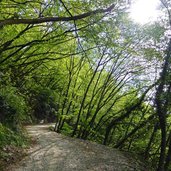 weg b nach labers promenade