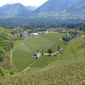 meran labers mit st valentin kirche und weinlagen