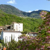 meran schloss trauttmansdorff