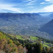 herbstwald bei vellau aussicht meran etschtal