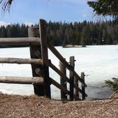 Felixer Weiher Deutschnonsberg P