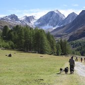 Meraner Hoehenweg Nord Hohe Wei e Talschluss Pfossental