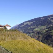 Passeiertal Riffian Herbst Obst Weinbau