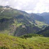 DG alpenrosen bei lazins