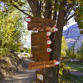 sonnenberger panoramaweg wegweiser