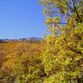 sonnenberg im herbst naturns partschins