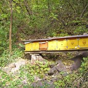 burgstall graf volkmar weg bienenzucht