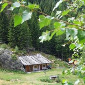 RS Almen Steig Rueckkehr Holzschlag Alm