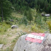 RS Almen Steig Rueckkehr Holzschlag Alm