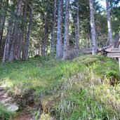 RS Almen Abzweigung Abkuerzung Waldweg Holzschlag Alm