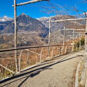 Wein und Apfelweg Schenna