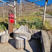 Wein und Apfelweg Schenna