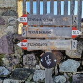 Wein und Apfelweg Schenna