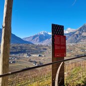 Wein und Apfelweg Schenna