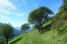 meraner hoehenweg matatz magdfeld vernuer