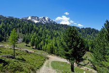 naturnser alm