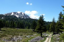 naturnser hochwart mit schnee