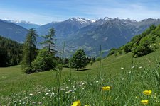 wanderung taser hoehenweg