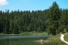 felixer weiher tretsee hund am wasser